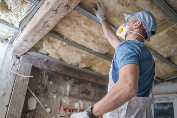Best Eco-Friendly Insulation in Mcfarland, WI
