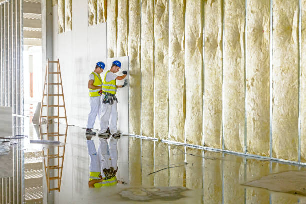 Best Cellulose Insulation in Mcfarland, WI